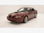 Thumbnail Photo 0 for 2004 Ford Mustang GT Convertible